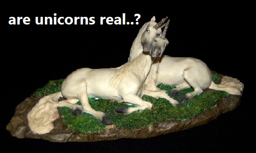 are unicorns real
