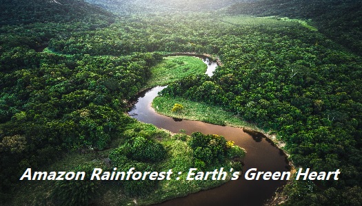 Amazon Rainforest - Earth's Green Heart